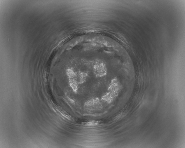 X0000078890366200612042056