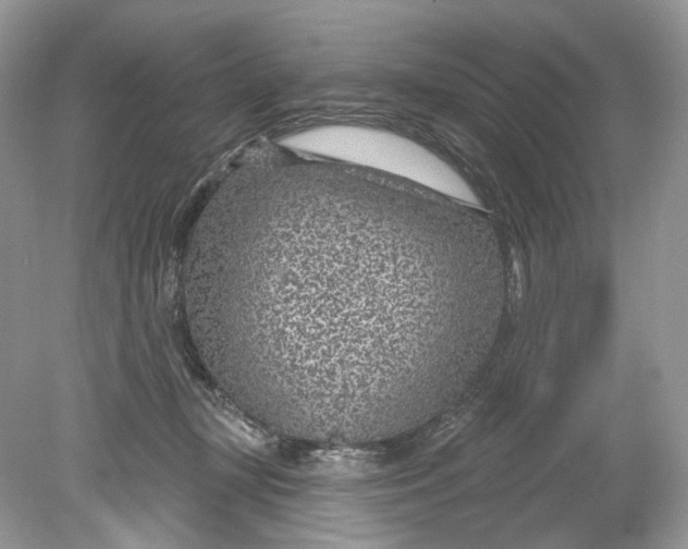 X0000078890367200612042056