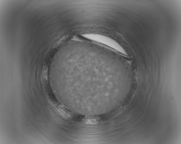 X0000078890368200612042056