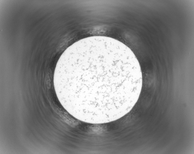 X0000078890370200612042056