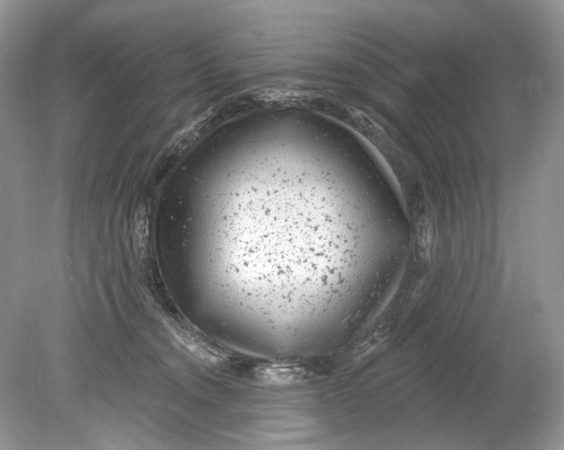 X0000078890372200612042056