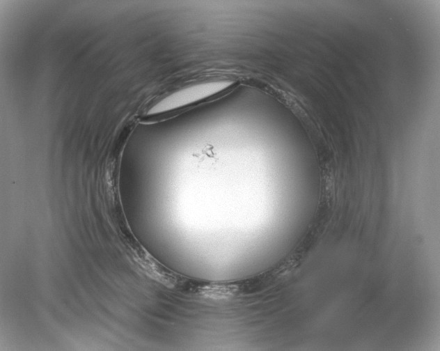 X0000078890373200612042056