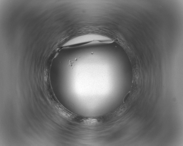 X0000078890374200612042056