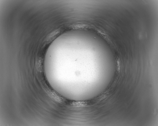 X0000078890378200612042056