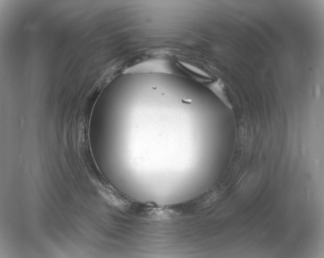 X0000078890379200612042056