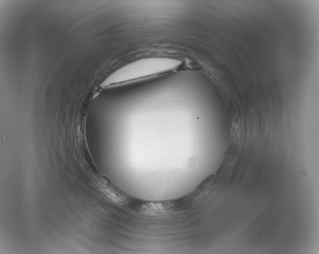 X0000078890381200612042056