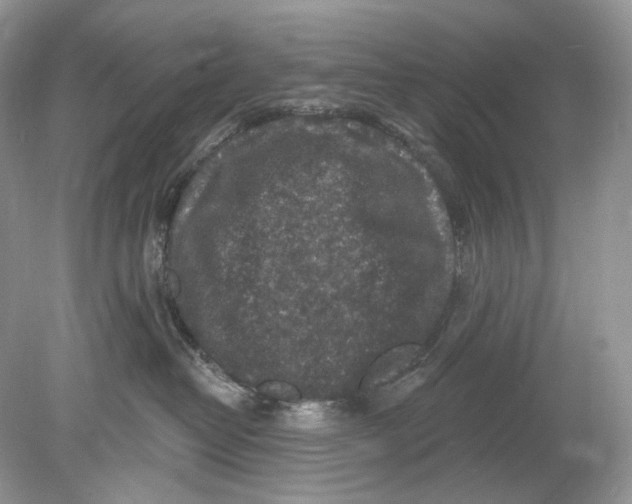 X0000078890382200612042056