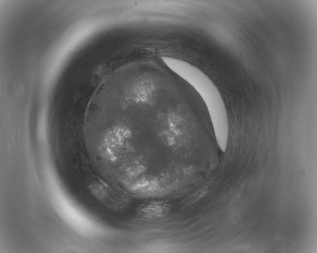 X0000078890383200612042056