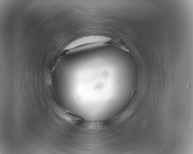 X0000078890384200612042056