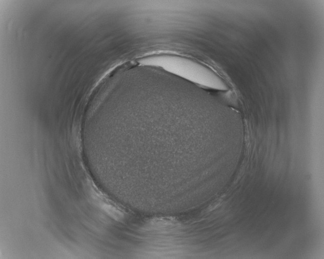 X0000078890386200612042056