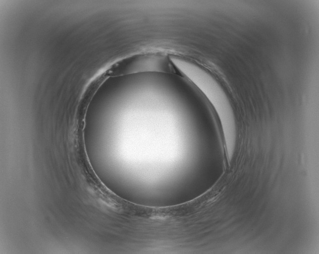 X0000078890388200612042056