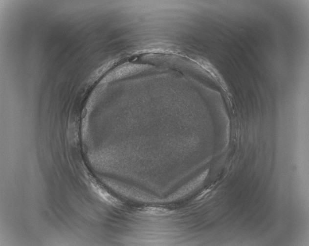 X0000078890393200612042055