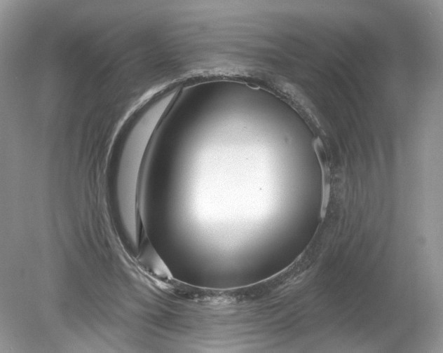 X0000078890395200612042055