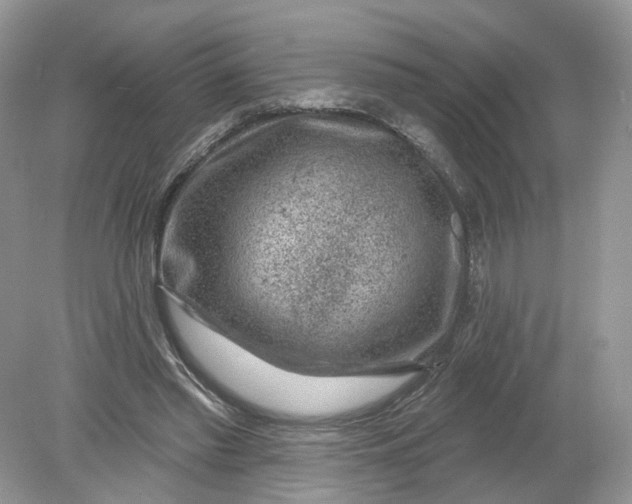 X0000078890397200612042055