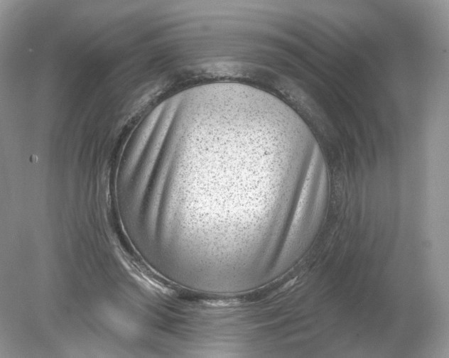 X0000078890398200612042055