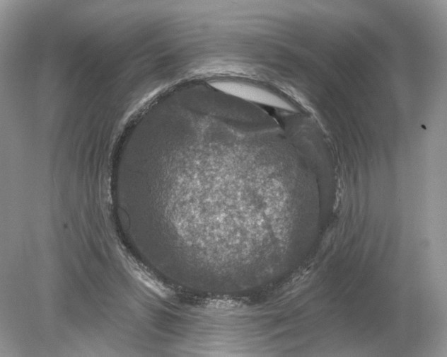 X0000078890399200612042055