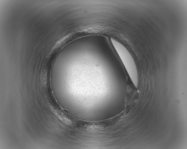 X0000078890400200612042055