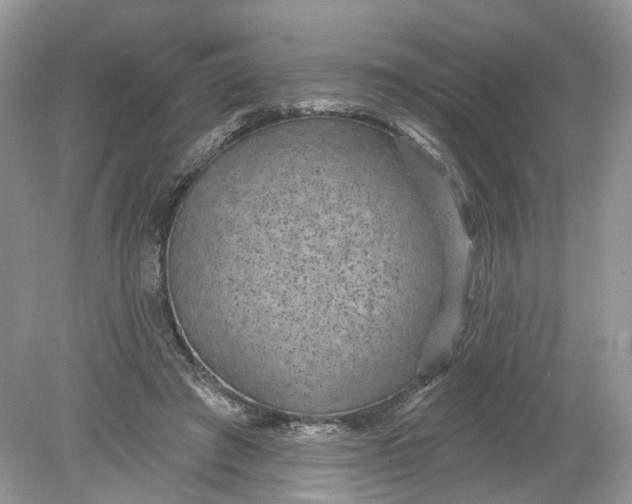 X0000078890401200612042055