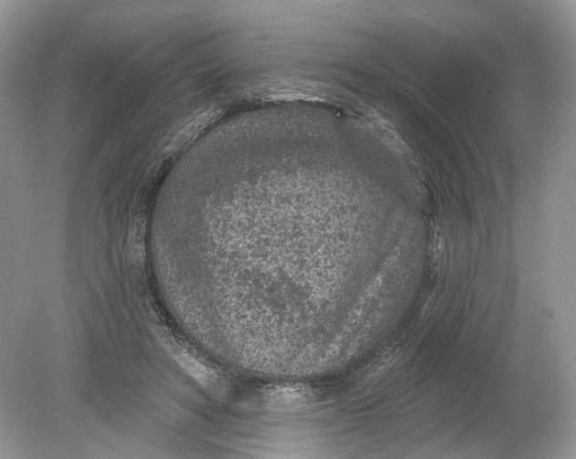 X0000078890402200612042055