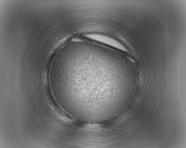 X0000078890403200612042055