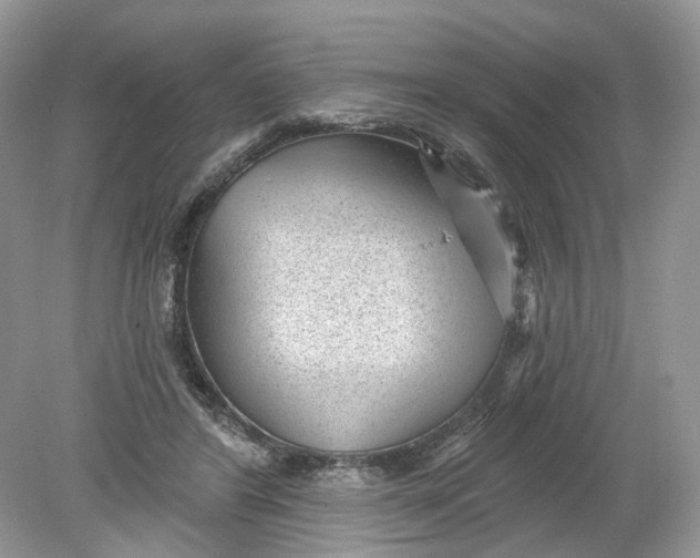 X0000078890404200612042055