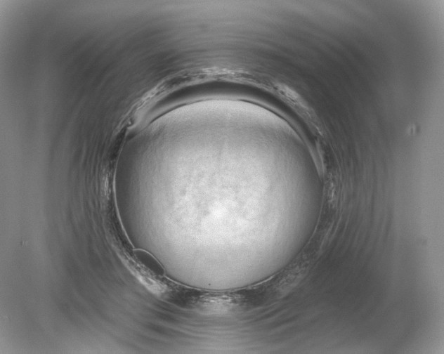 X0000078890405200612042055