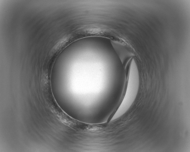 X0000078890407200612042055