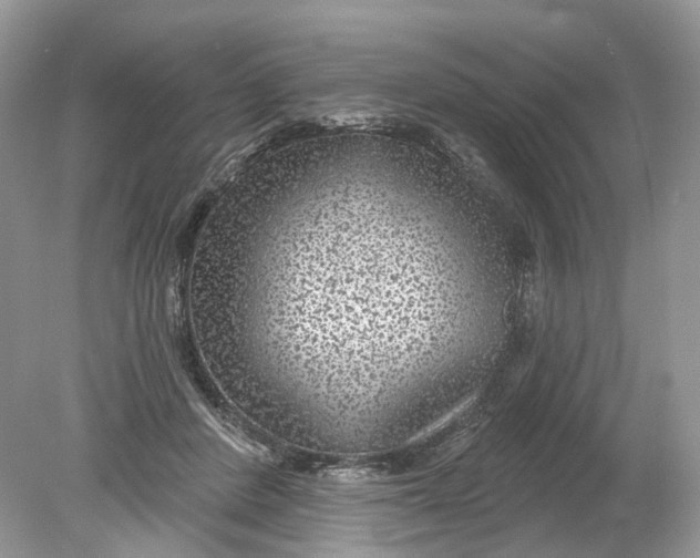 X0000078890408200612042055