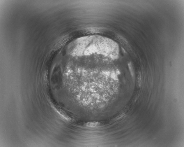 X0000078890410200612042055