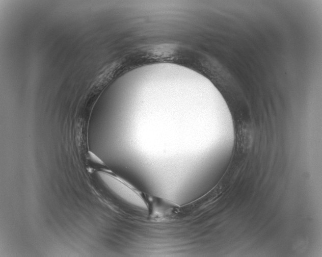 X0000078890412200612042055