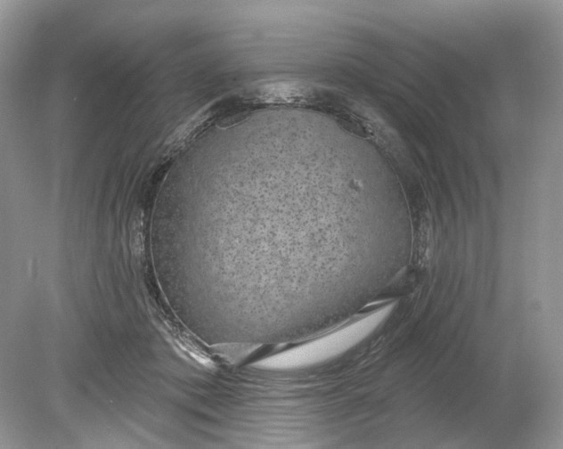 X0000078890413200612042055