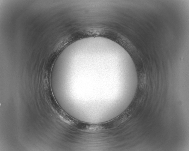 X0000078890414200612042055