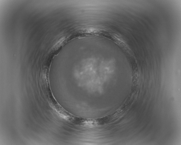 X0000078890415200612042055