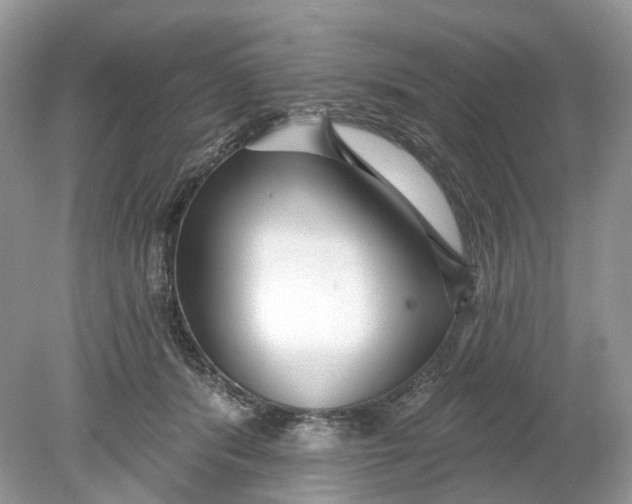 X0000078890416200612042055