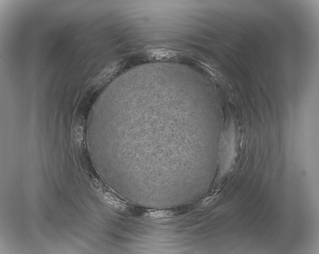 X0000078890417200612042055