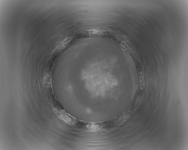 X0000078890419200612042055