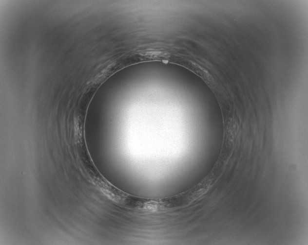 X0000078890420200612042055