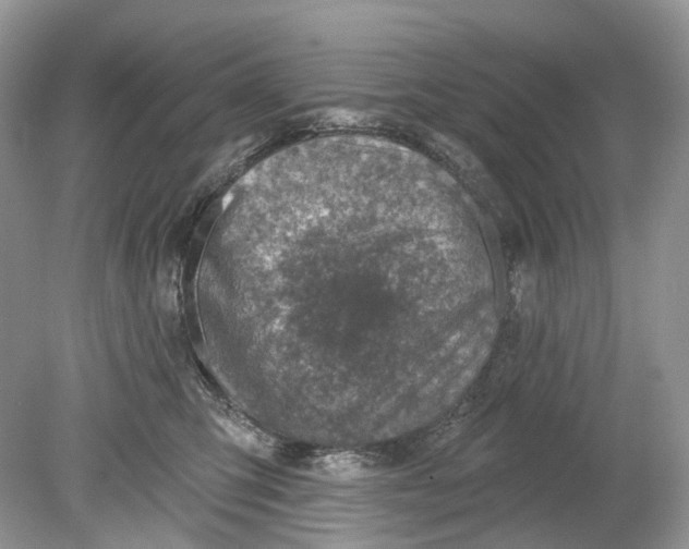 X0000078890423200612042055