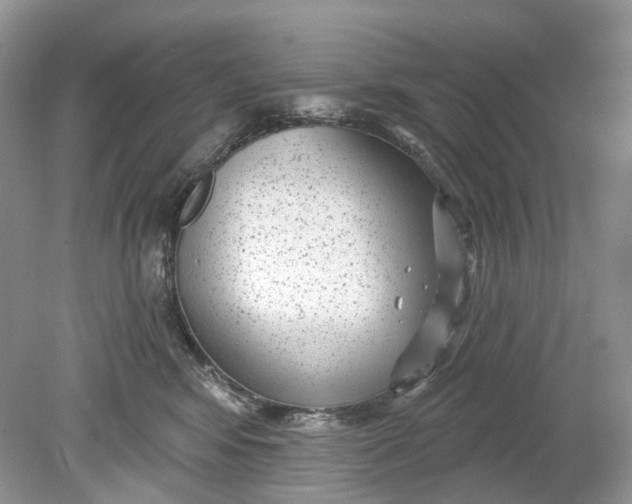 X0000078890424200612042055