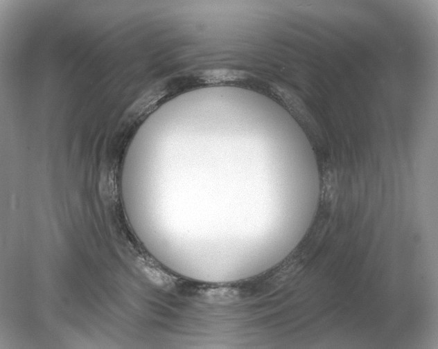 X0000078890426200612042055