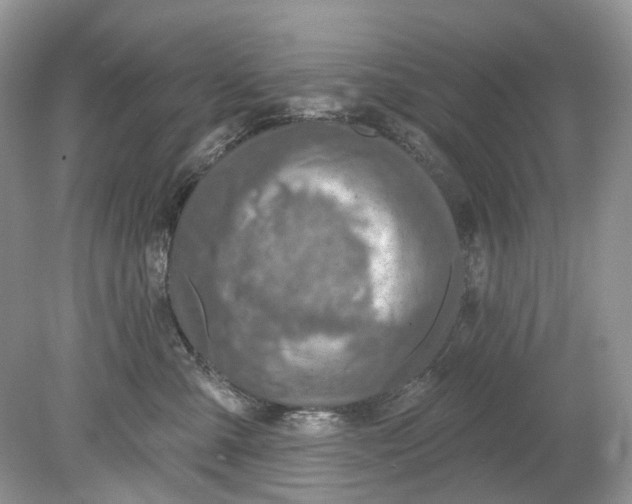 X0000078890427200612042055