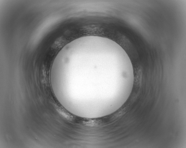 X0000078890430200612042055