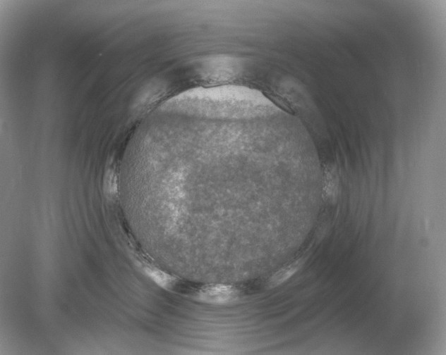 X0000078890431200612042055