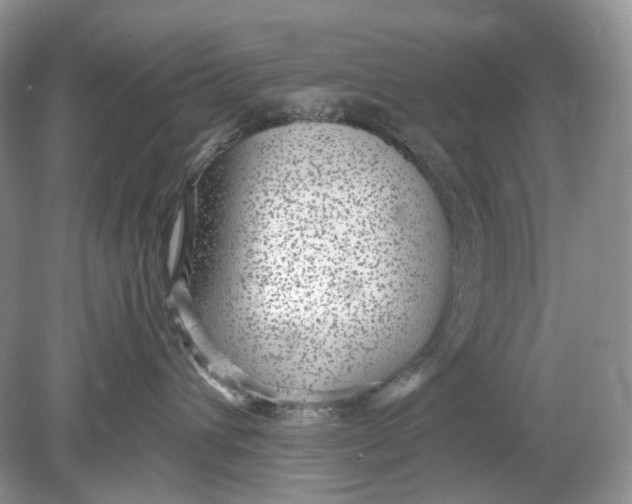 X0000078890432200612042055