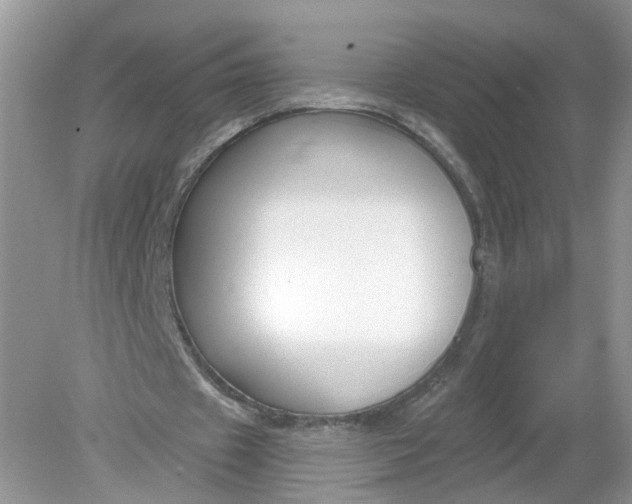 X0000078890433200612042054