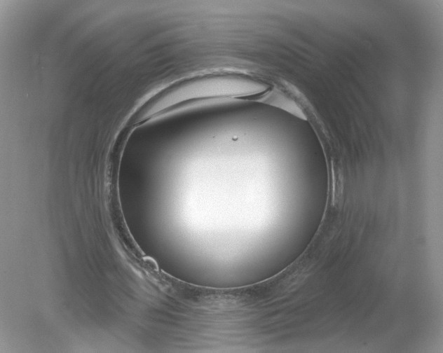 X0000078890435200612042054