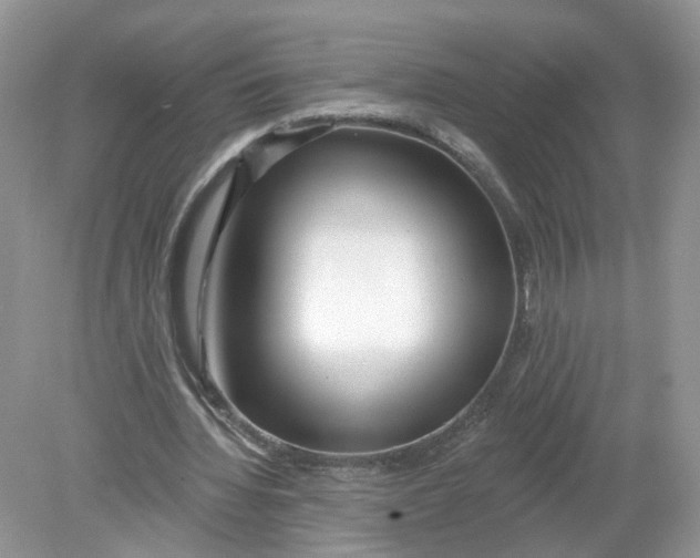 X0000078890436200612042054