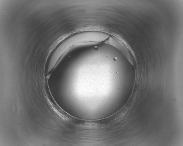 X0000078890437200612042054