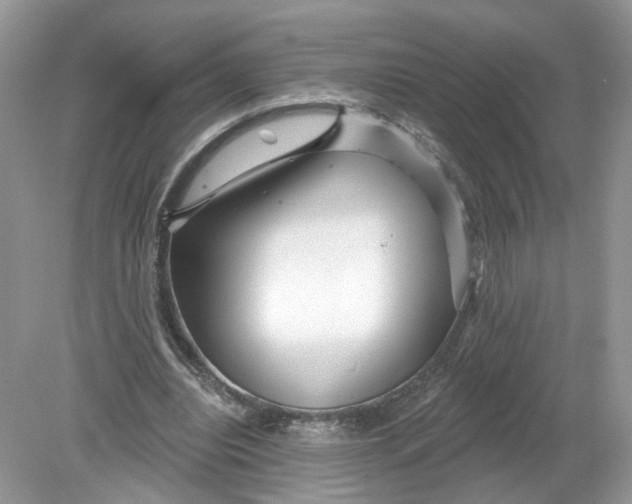 X0000078890440200612042054