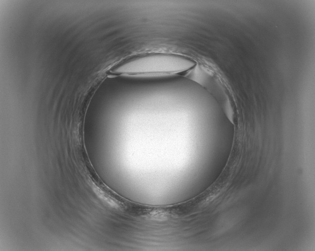 X0000078890441200612042054